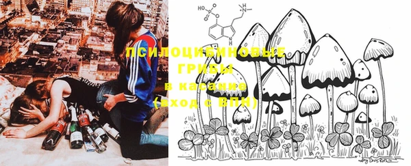 Альфа ПВП Покров