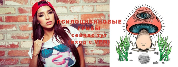 герыч Протвино